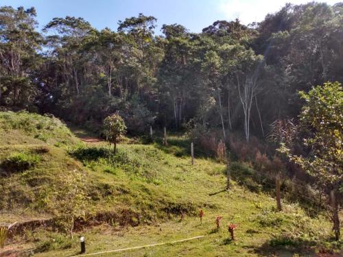 Sitio do Zo, só alegria – Photos 2