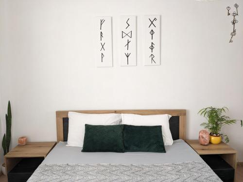 スタラ・ザゴラにあるУютен двустаен апартамент с прекрасна гледкаのベッドルーム1室(緑の枕が付くベッド1台付)
