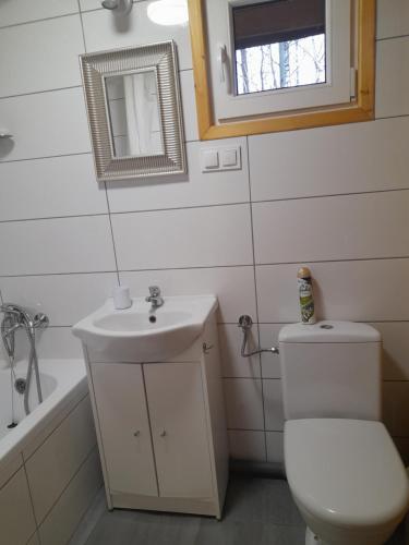W łazience znajduje się toaleta, umywalka i lustro. w obiekcie Studio Czarna w mieście Stanisławów