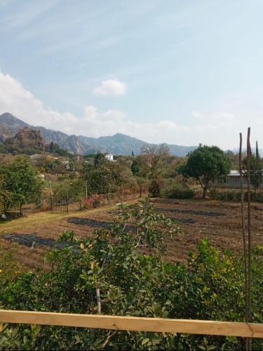 a view of a garden with trees and mountains in the background at casa DON JULIAN in Tepoztlán