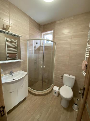 a bathroom with a shower and a toilet and a sink at VÁR-LAK Apartman in Kisvárda