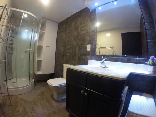 a bathroom with a sink and a shower and a toilet at Villa Anita Piriapolis in Piriápolis