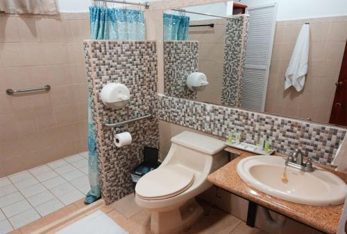 a bathroom with a toilet and a sink at Trebol Amarillo Bed & Breakfast in Escazu