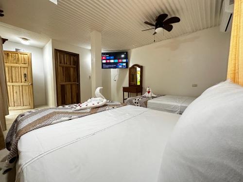 a bedroom with two beds and a ceiling fan at Loma Real Hot Springs Bed & Breakfast in Fortuna