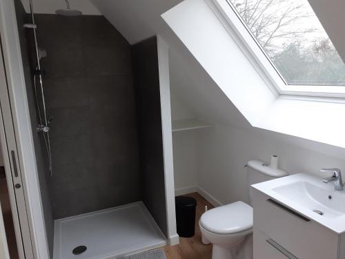 een badkamer met een douche, een toilet en een wastafel bij B&B - La Cense du Pont in Bachy