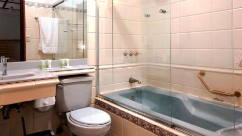 a bathroom with a tub and a toilet and a sink at Trebol Amarillo Bed & Breakfast in Escazu