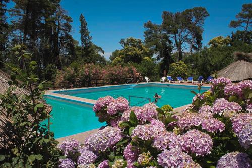 una piscina con flores púrpuras delante en Estancia Alto San Pedro en Huerta Grande