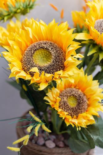 a group of yellow sunflowers in a vase at Affittacamere Alessia in Sanremo