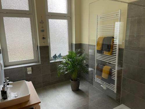 a bathroom with a sink and a shower with a plant at ElisaBett Erfurt - Eine Wohnung bis 6 Personen - 4 Schlafzimmer und 2 Bäder in Erfurt