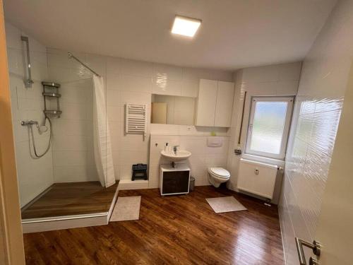 a bathroom with a shower and a toilet and a sink at Charmante Ferienwohnung Limburg in Limburg an der Lahn