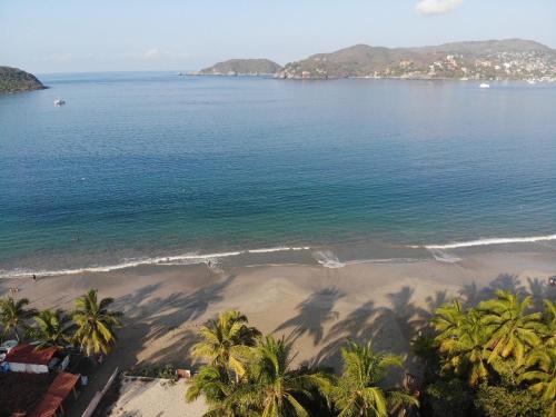 an aerial view of a beach with palm trees and the ocean at Villa Soleil in Zihuatanejo