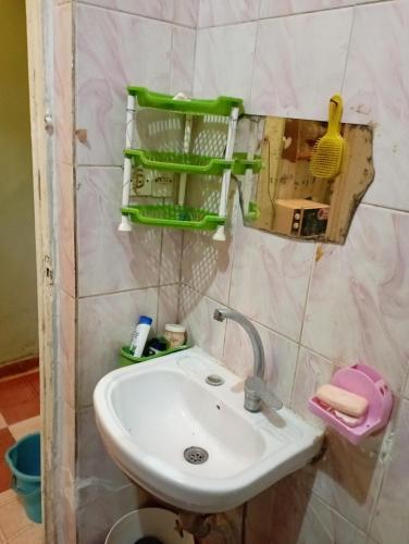 uma casa de banho com um lavatório e uma prateleira verde na parede em Large and cheerful home with 2 floors em Fayum