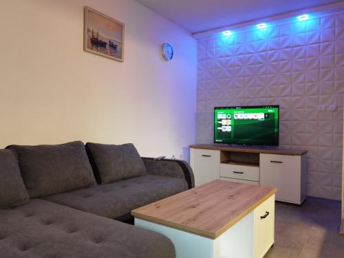 sala de estar con sofá y TV de pantalla plana en Apartment Splendid, en Belgrado