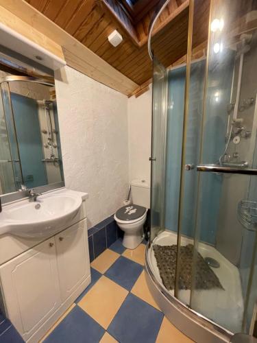 a bathroom with a shower and a sink and a toilet at Chez Pierre in Vitry-le-François