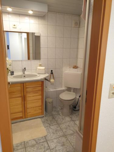 a bathroom with a sink and a toilet and a mirror at Schwarzwaldglück Apartment in Oberried