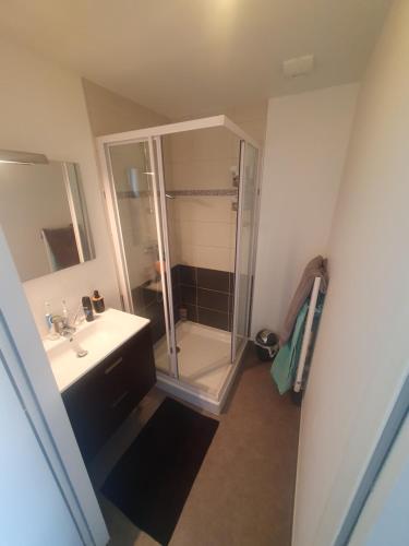 een badkamer met een douche en een wastafel bij Chambre confortable chez l'habitant in Saint-Laurent