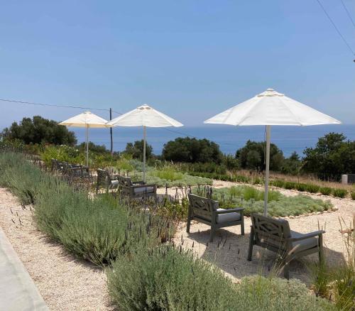a row of chairs and umbrellas on a beach at Kefi Spitia Villa in Simotáta