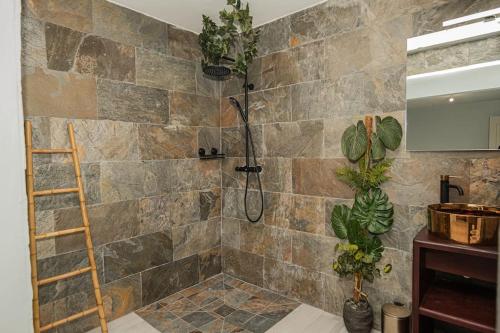 ein Bad mit einer Dusche mit Pflanzen an der Wand in der Unterkunft VT cottage in Rivière-Pilote