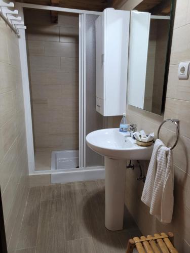 La salle de bains est pourvue d'un lavabo et d'une douche. dans l'établissement Casa en Orbó-Brañosera, à Orbó
