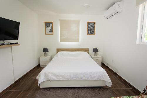 1 dormitorio blanco con 1 cama y TV de pantalla plana en Westpunt Beach Apartments, en Willemstad