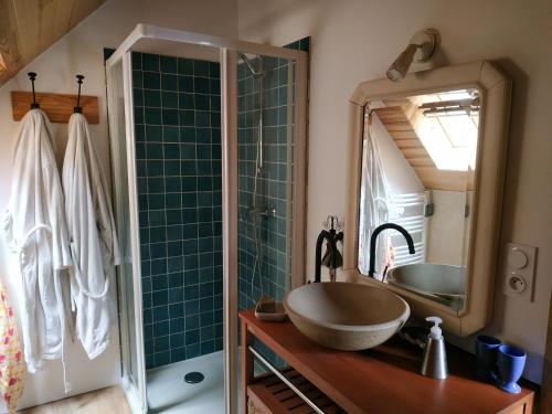 une salle de bain avec un lavabo et un miroir dans l'établissement Chambre d'hôtes dans maison éclusière, à Hennebont