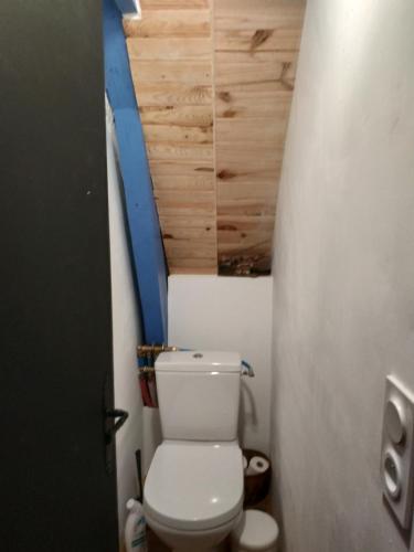 a bathroom with a toilet and a wooden ceiling at Chambre d'hôtes dans maison éclusière in Hennebont