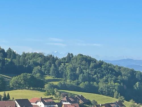 een dorp in de bergen met bomen en huizen bij Blumenhof - ERHOLUNG PUR, traumhafte Aussicht in Zell im Wiesental