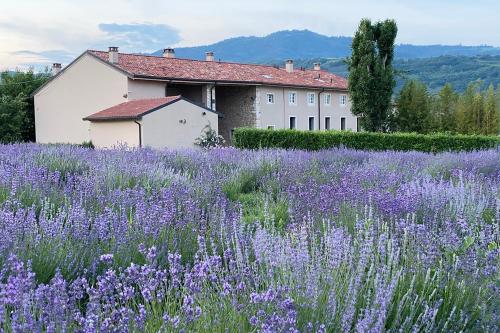 a field of purple flowers in front of a building at Casa Perazzolo in Montecchia di Crosara