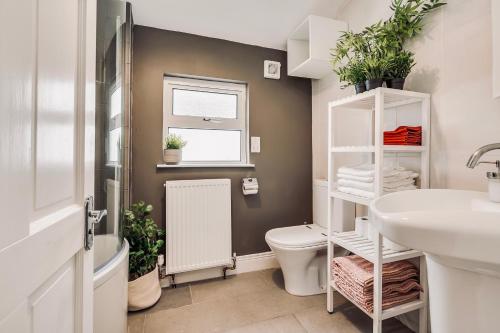 a bathroom with a toilet and a sink and a window at Beautiful B&B On The Park in Belfast