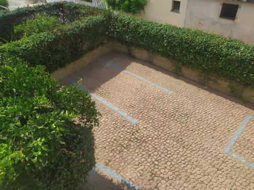a brick patio with blue paint on it next to a hedge at Barnet House Lamezia in Lamezia Terme