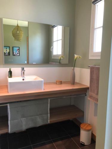 a bathroom with a sink and a mirror at Maison M, chambre privée accès jardin piscine et jacuzzi près de La Rochelle in La Rochelle