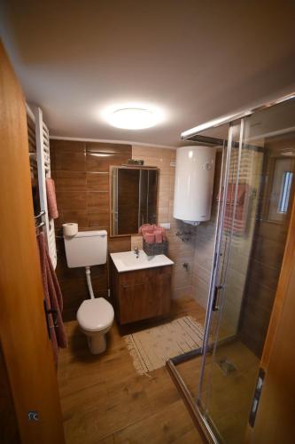 a bathroom with a toilet and a sink and a shower at Njih tri Jelova gora in Užice