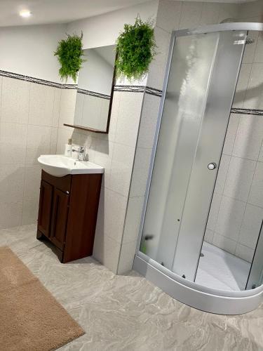 a bathroom with a shower and a sink at Cozy Apartament with 2Rooms in Timişoara