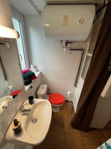 une salle de bain avec un lavabo, des toilettes et un miroir dans l'établissement Louis Maissa, à Saint-Martin-Vésubie
