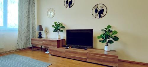 ein Wohnzimmer mit einem Flachbild-TV und Pflanzen in der Unterkunft Fruza family apartment in Riga in Riga