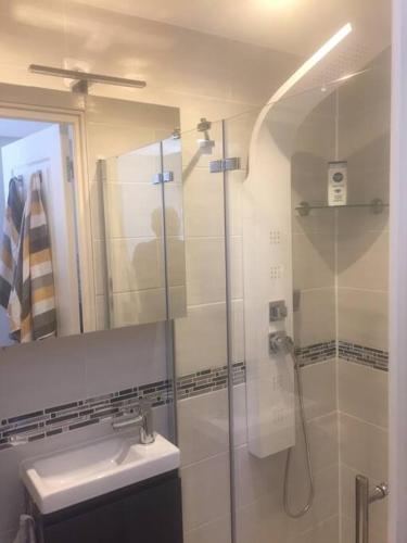 une salle de bain avec une douche, un lavabo et un miroir dans l'établissement Petit Luxe, à Mortroux