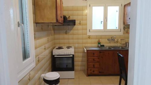 een kleine keuken met een fornuis en een wastafel bij KAS RESIDENCE renovated 2022 in Spetses