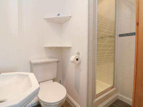 a bathroom with a toilet and a sink and a shower at 5 Seymour Villas in Woolacombe