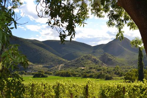 a view of mountains from a vineyard in the hills at De Kombuys in Oudtshoorn