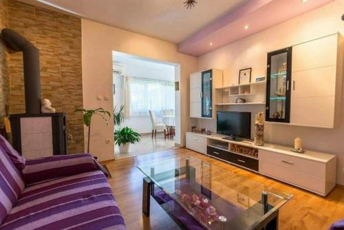 TV a/nebo společenská místnost v ubytování Apartment Nikolina