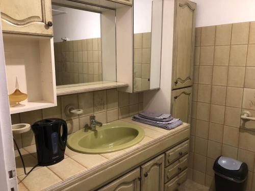 a bathroom with a green sink and a mirror at Chambre calme au cœur d’Ussel in Ussel