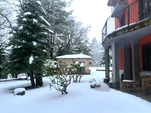 een sneeuwbedekte tuin met een boom en een gebouw bij b&b Casa Alegría in Morano Calabro