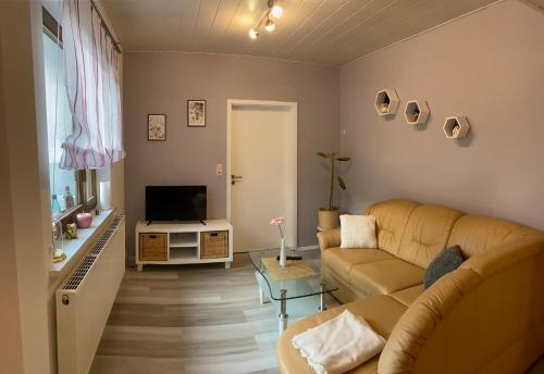 uma sala de estar com um sofá e uma televisão em Pension Alice em Apfelstädt