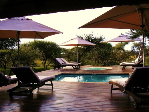 eine Gruppe von Stühlen und Sonnenschirmen neben einem Pool in der Unterkunft Buffalo Thorn Lodge in Pilanesberg