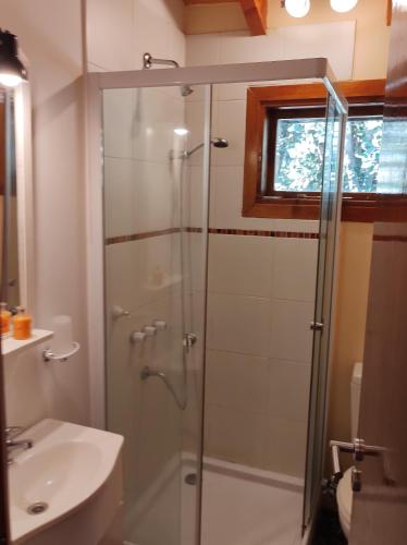y baño con ducha acristalada y lavamanos. en Cabaña en Bosque Nativo en San Carlos de Bariloche