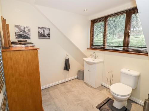 a bathroom with a toilet and a sink at Meadowfall at Shatterford Lakes in Bewdley