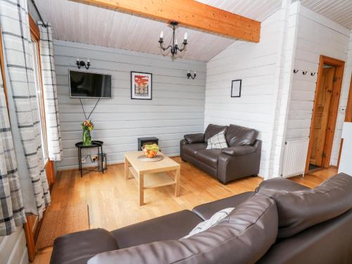 Snowy Owl Lodge – Photos 3