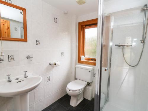 a bathroom with a toilet and a sink and a shower at Snowy Owl Lodge in Rhayader