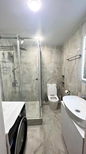 a bathroom with a shower and a toilet and a sink at La Casa de Armenie in Yerevan