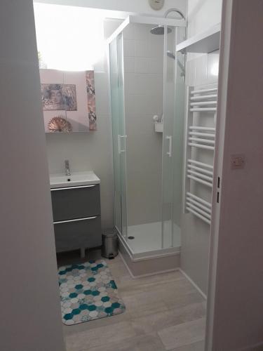 a bathroom with a shower and a sink at Le 322 entre Lac et Océan in Vieux-Boucau-les-Bains